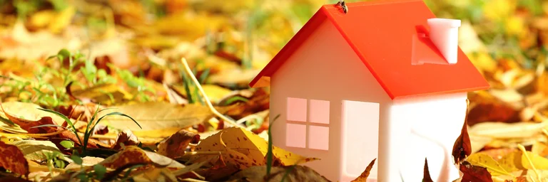 WE Reset d'Automne, entretenir et préparer votre maison pour la saison froide : préparez votre maison pour l'hiver avec le WE Reset d'Automne. 3 étapes en 2 jours pour un nettoyage efficace et une ambiance chaleureuse avant le froid.