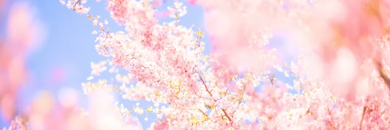 Habitudes de rangement et zones secrètes du désordre : débusquez les zones secrètes du désordre ! Découvrez 5 cachettes insoupçonnées qui sabotent votre bien-être et les habitudes simples pour les dompter.