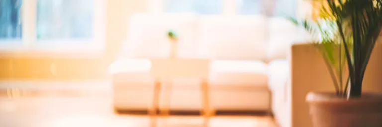 Le renouveau de la belle saison, idéal pour avancer et se décider : profitez de l'énergie du printemps pour avancer ! Renouveau des beaux jours et libération des objets sans regret.