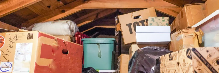 Les pièces de stockage ne sont pas des pièces de la honte #uneminute : transformez garage, grenier et cave en espaces de stockage organisés. Découvrez comment bien ranger ces pièces pour maintenir l'ordre dans toute votre maison.