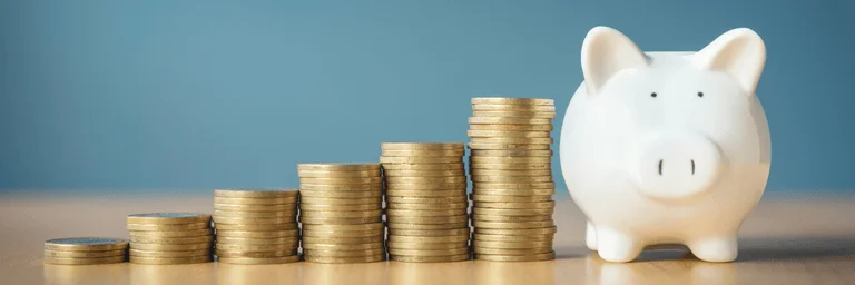 Faire des économies grâce au tri : économisez grâce au tri : découvrez comment désencombrer peut faire du bien à votre budget. Des astuces concrètes pour gagner de l'argent en triant vos affaires.