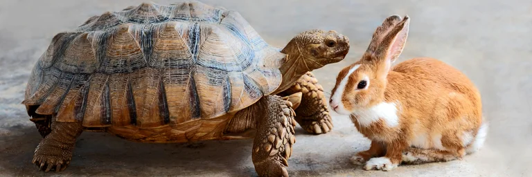 Trier V/S Ranger perpétuellement : qui va gagner ? Arrêtez de ranger sans fin ! Découvrez pourquoi trier une bonne fois remplace le rangement perpétuel et vous fait gagner du temps au quotidien.