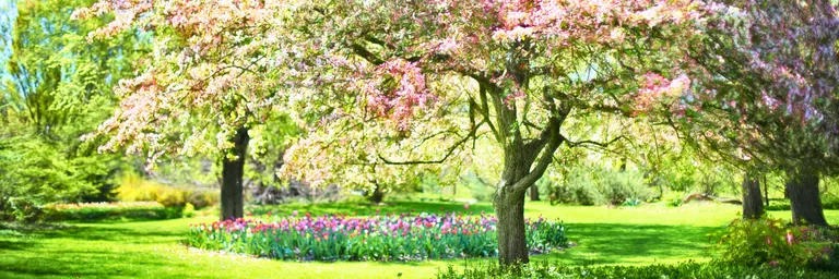 Ménage de printemps : maison, extérieur et digital – le grand rafraîchissement. Votre grand rafraîchissement de printemps ! Nettoyage digital, ménage de printemps home organising et préparation des espaces extérieurs : tout en un.